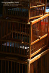 nEO_IMG_IMG_5081