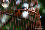 nEO_IMG_IMG_5102