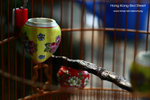 nEO_IMG_IMG_5123