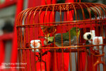 nEO_IMG_IMG_5166