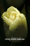 HK Flower show 1