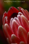nEO_IMG_FA 351
