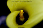 nEO_IMG_FA 378