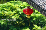 nEO_IMG_mirror 547