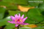 nEO_IMG_mirror 572