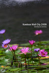 nEO_IMG_mirror 579