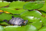 nEO_IMG_mirror 591