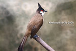 nEO_IMG_mirror 638