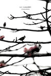 nEO_IMG_IMG_5805p