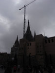 RIMG0769