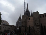 RIMG0770