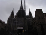 RIMG0773