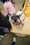 20080217-0022