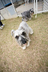 20080217-0026