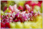DSC_0149 (56757607)
