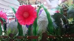 DSC00169