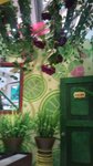 DSC00174
