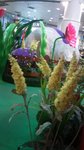 DSC00175