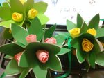 DSC00149