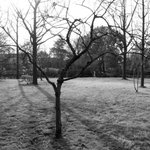 R0010269_resize