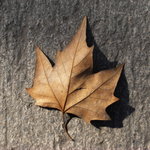 R0010442_resize