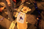 IMG_2718_resize