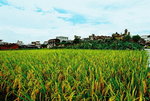 resize_024