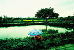 resize_063