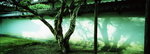01_06_resize
