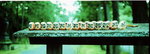 01_08_resize