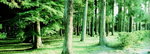 01_09_resize