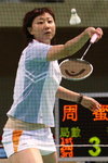 DPP_290