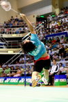 DPP_293