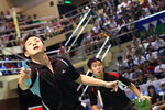 DPP_301