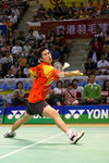 DPP_302