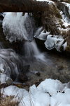 DPP_0126