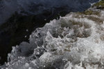 DPP_0260