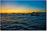 DSC_6311a_1noise reduction