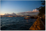 DSC_6314a_1