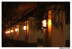 AlliPhoto20051018_018