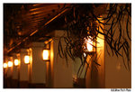 AlliPhoto20051018_019