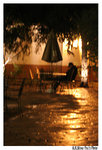 AlliPhoto20051018_025