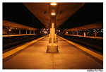 AlliPhoto20051018_035