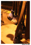 AlliPhoto20051018_036