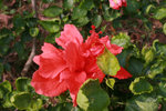 IMG_0253---05