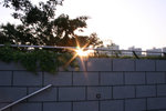 IMG_0432---03