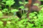 
IMG_0987--07