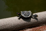 IMG_0884-00