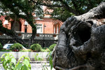 
IMG_0924--9