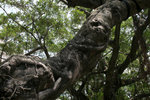 
IMG_0925--9